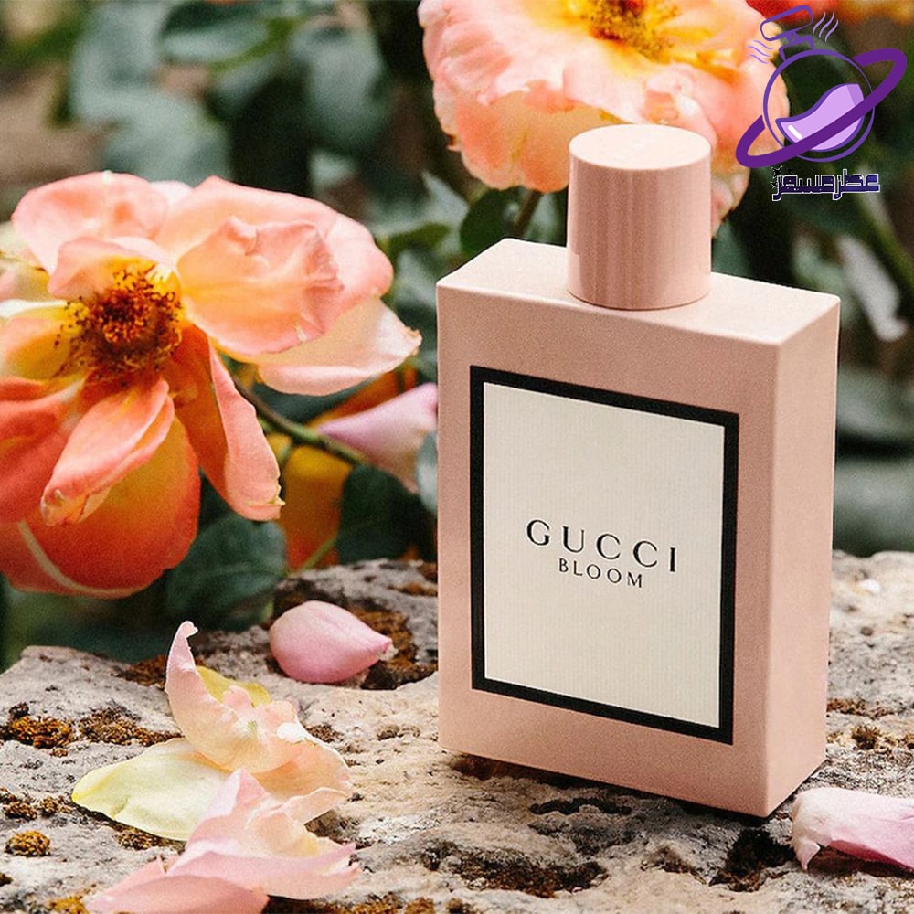 بهترین جا برای خرید عطر