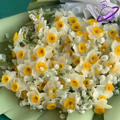 عطر گرمی گل نرگس