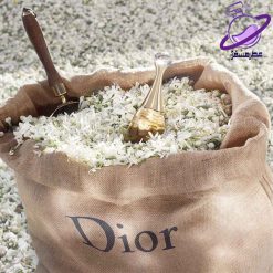 عطر مردانه دیور جادور