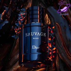 عطر ادکلن مردانه کریستین دیور ساواج 5 عطر ادکلن مردانه کریستین دیور ساواج