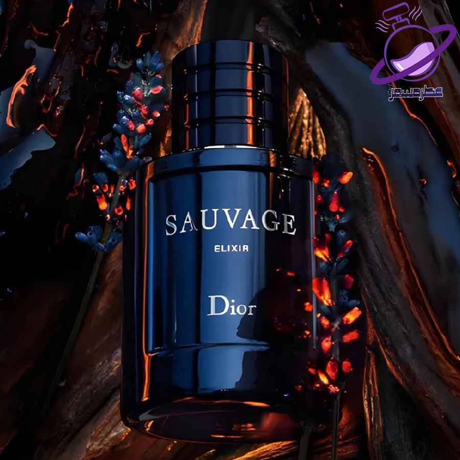 عطر ادکلن مردانه کریستین دیور ساواج 6 عطر ادکلن مردانه کریستین دیور ساواج