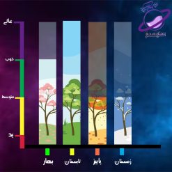 دکانت میدنایت رز