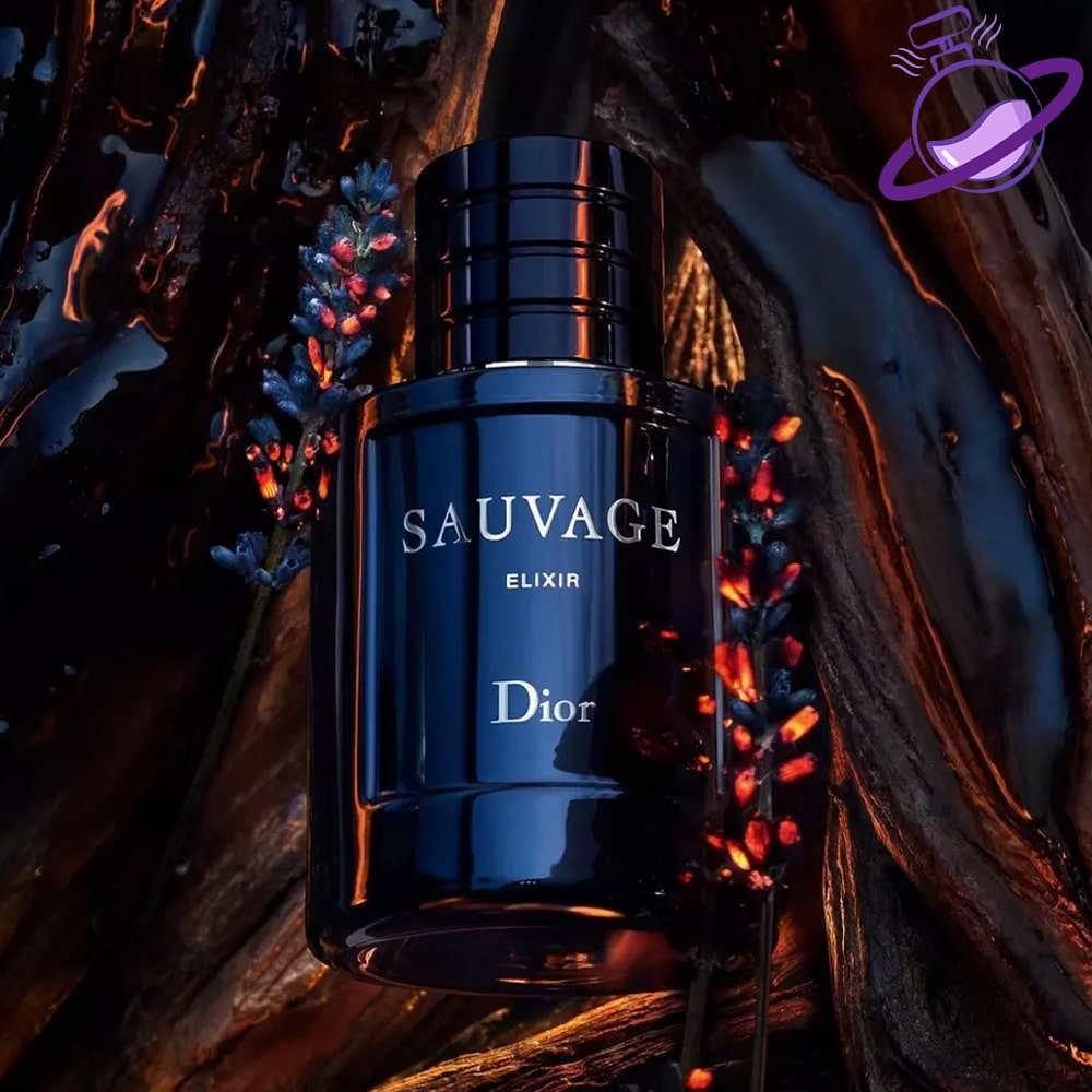 ادکلن سویج - های کوالیتی - مشابه اورجینال 5 ادکلن سویج - های کوالیتی - مشابه اورجینال