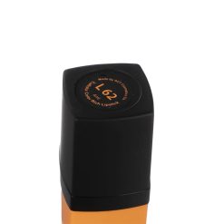 رژلب جامد کالیستا مدل کالر ریچ L62