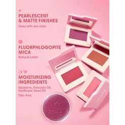 رژگونه پودری شیگلم dream touch blush